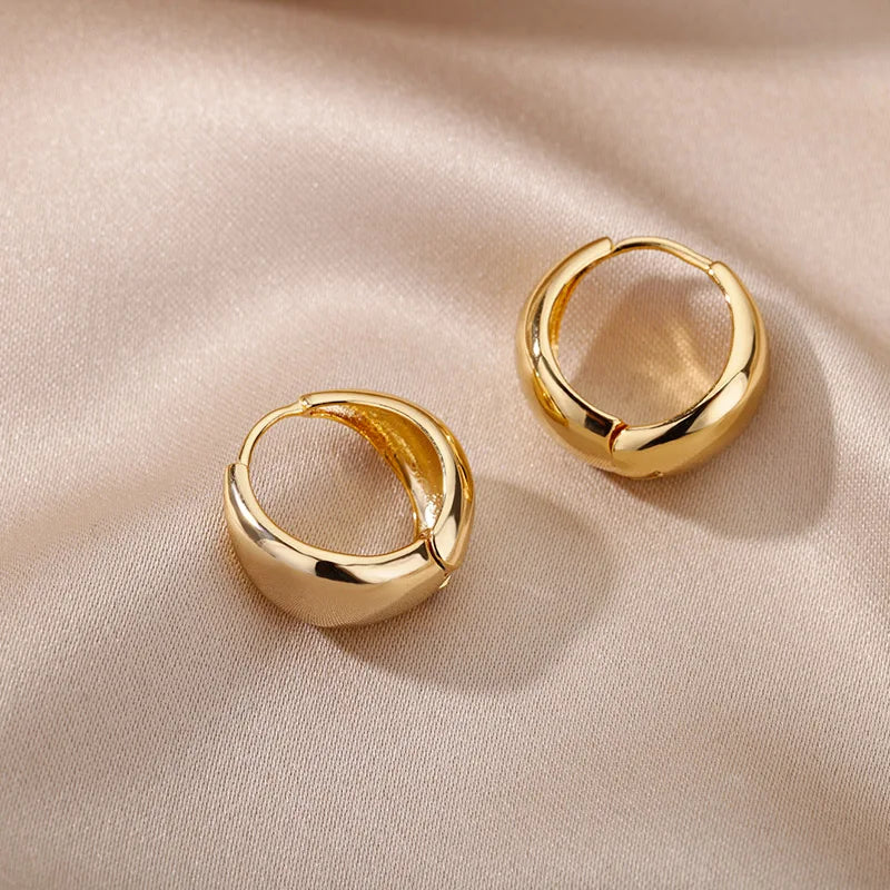 Stainless Steel Gold Heart Zircon Hoop Earrings