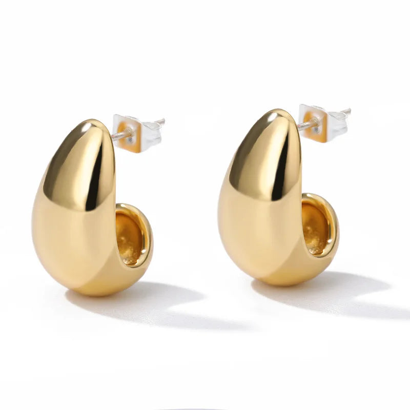 Stainless Steel Gold Heart Zircon Hoop Earrings