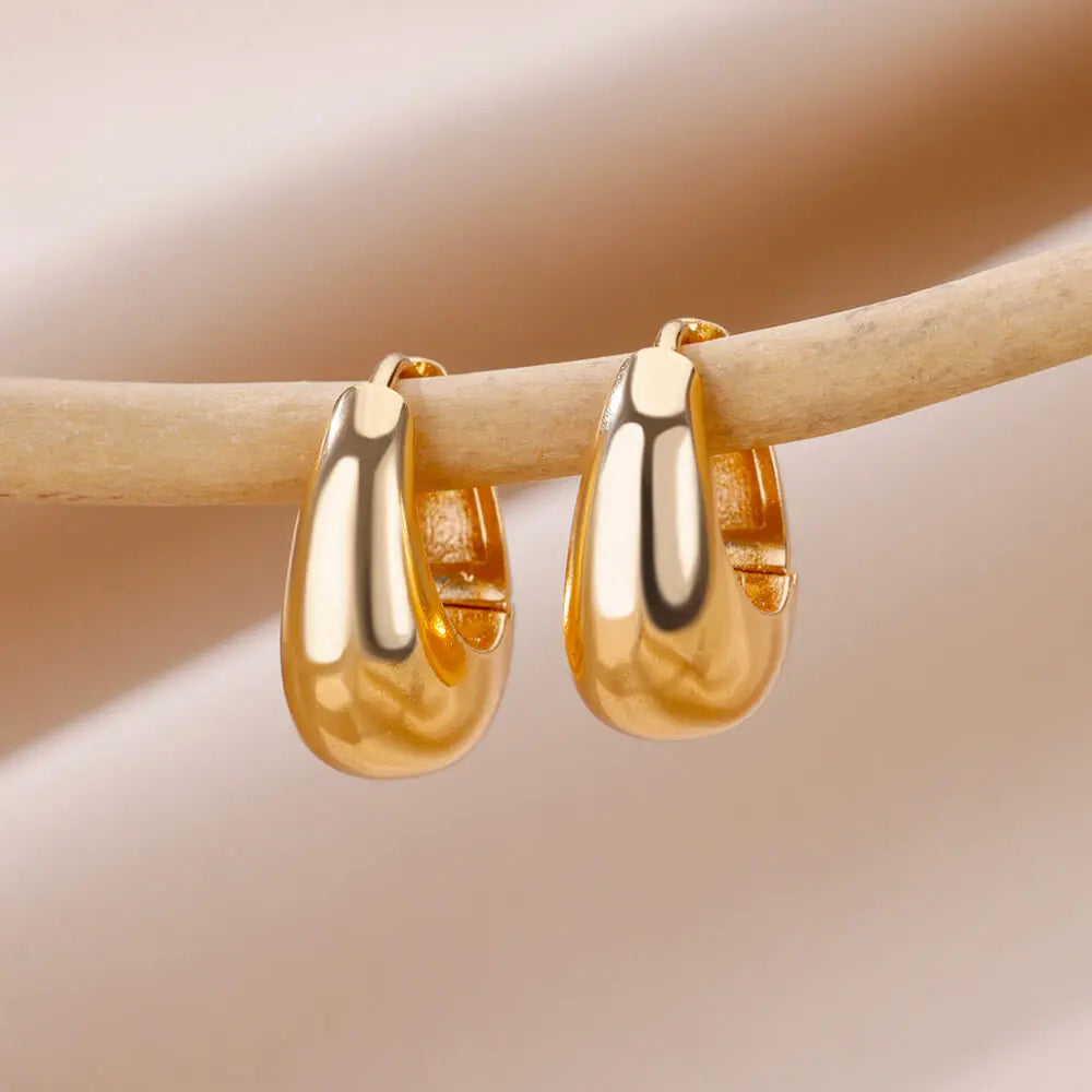 Stainless Steel Gold Heart Zircon Hoop Earrings